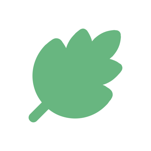 SAFI SAFI Green - Afbeelding 4