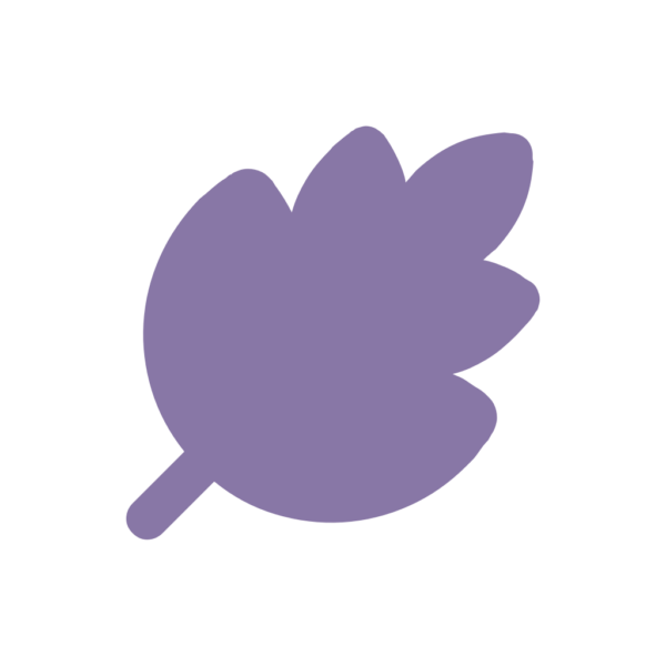 SAFI SAFI Purple - Afbeelding 4